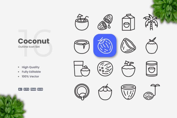 Coconut Icons: A Clean Graphics Set for Product Creators